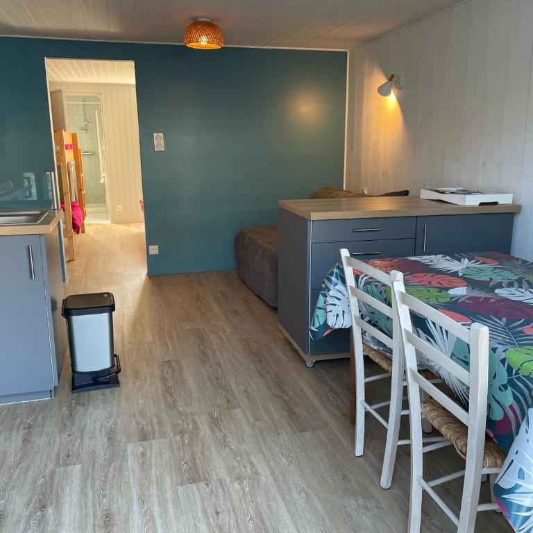 Appartement rénové avec terrasse très bien situé - Apartment mit 1 Schlafzimmer - 7