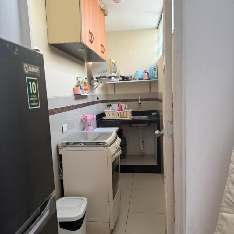 Mini en el centro histórico de Lima - Apartamento de 1 dormitorio - 4