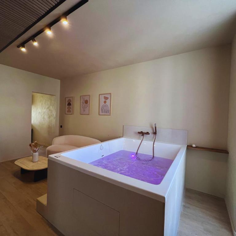 Harmony Room Suite avec Balnéo - Appartement 1 Chambre - 34