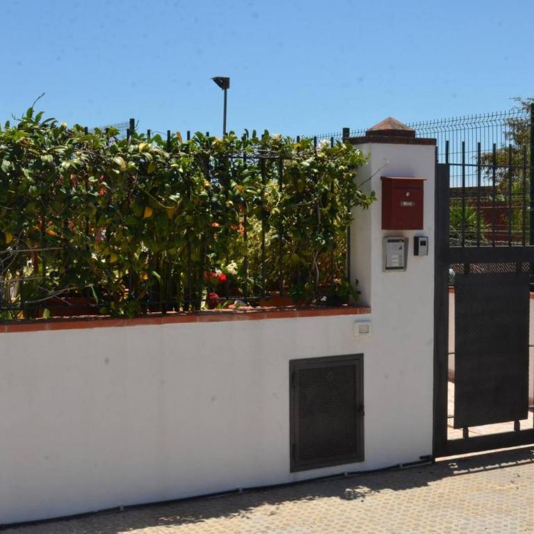 Casa Maestro Agustin 1 - Apartamento de 1 dormitorio con terraza - 3