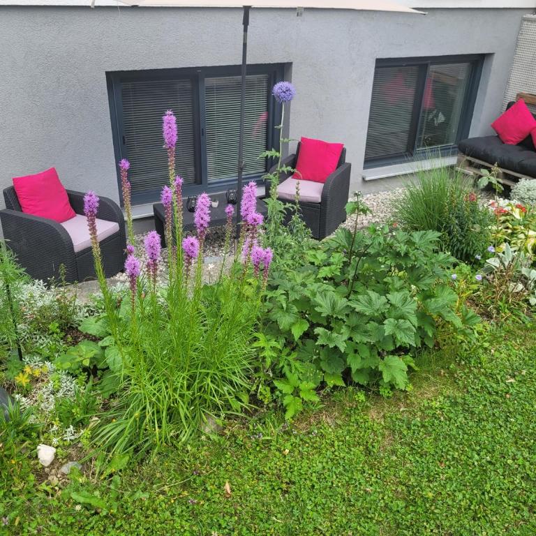 Don Papas Büruh Apartment - Apartment mit 1 Schlafzimmer - 2