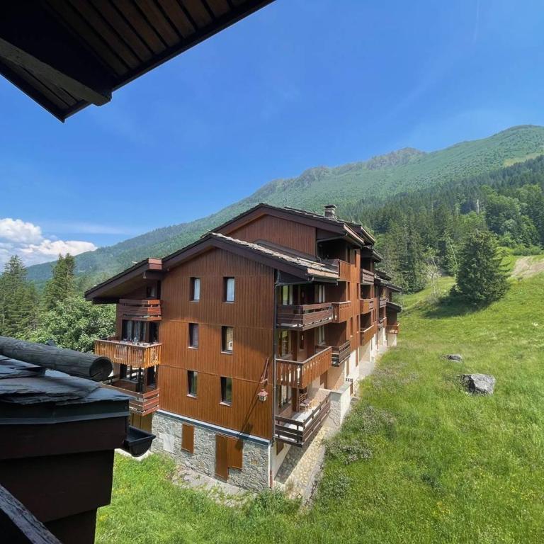Studio cosy 4 pers., balcon, à 80m des pistes, animaux acceptés, parking - FR-1-356-466 - Apartment - 10