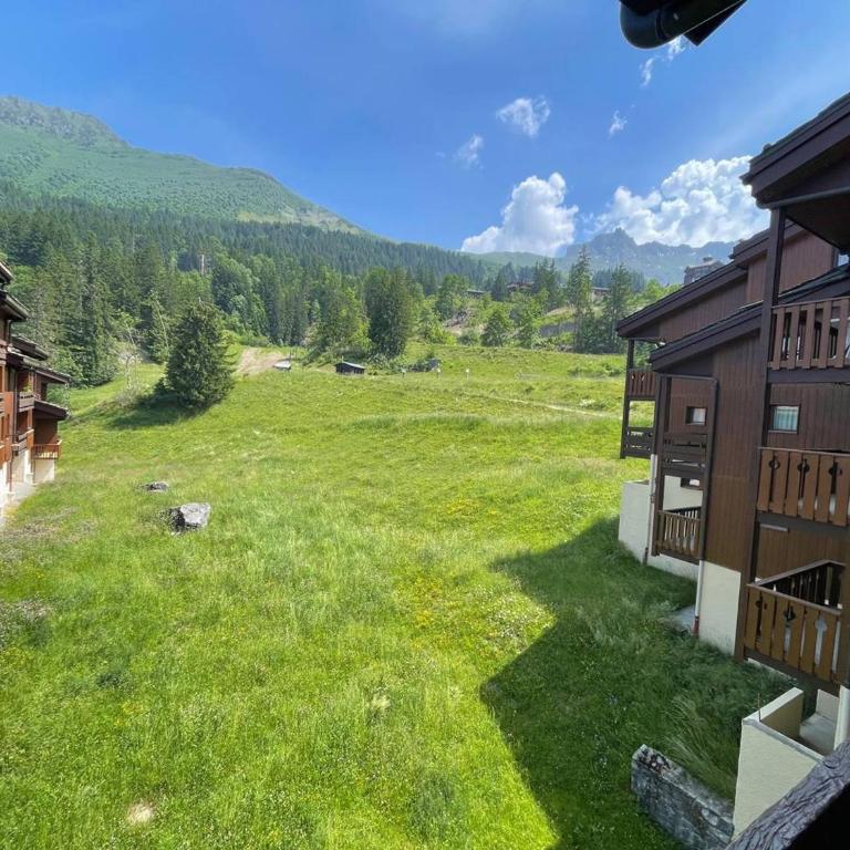 Studio cosy 4 pers., balcon, à 80m des pistes, animaux acceptés, parking - FR-1-356-466 - Apartment - 11