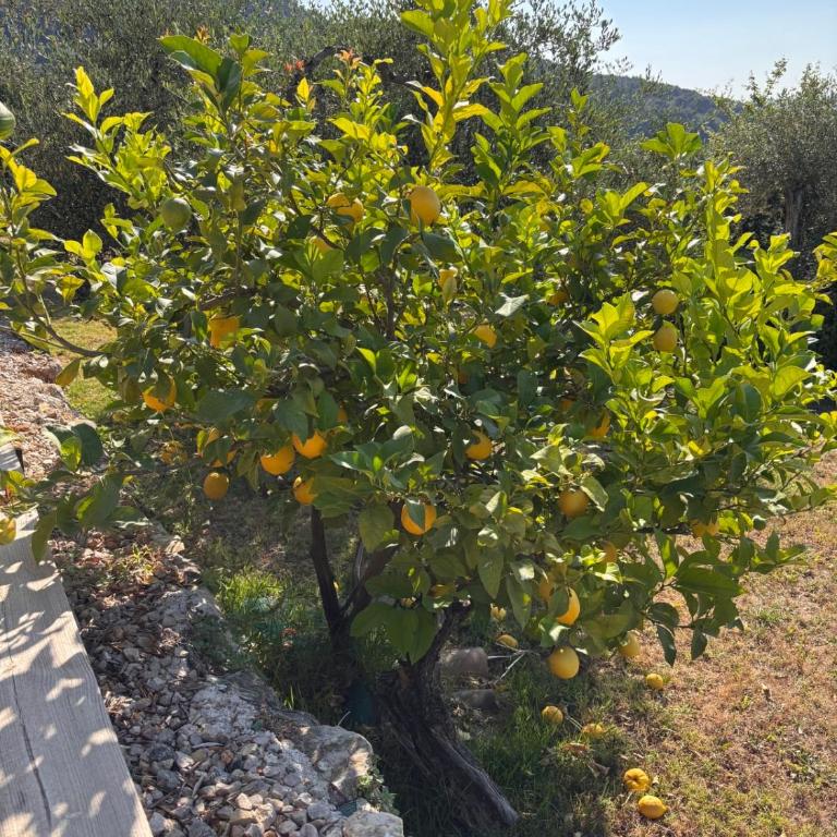 PLEN SOULEU High Standing Villa pool Jacuzzi Sauna and AirCo By Sunset - Villa - 17