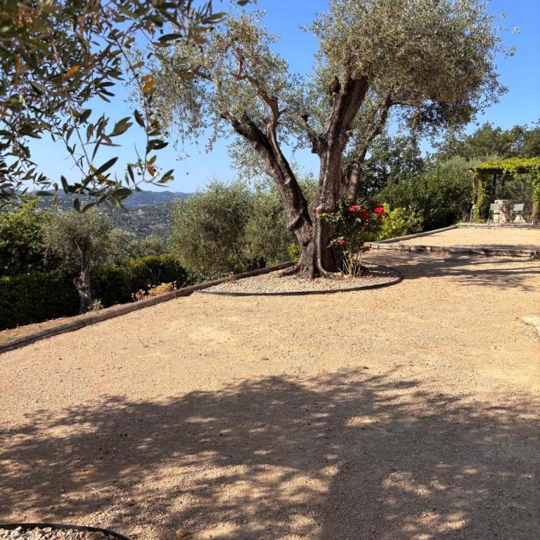 PLEN SOULEU High Standing Villa pool Jacuzzi Sauna and AirCo By Sunset - Villa - 28