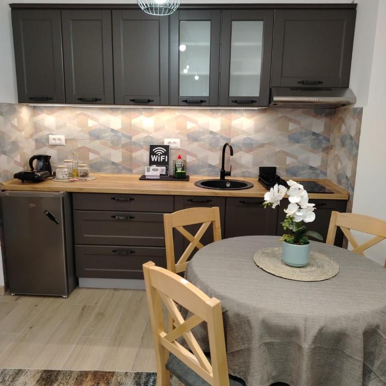 Apartman Amber Vrnjačka Banja - One-Bedroom Apartment - 11
