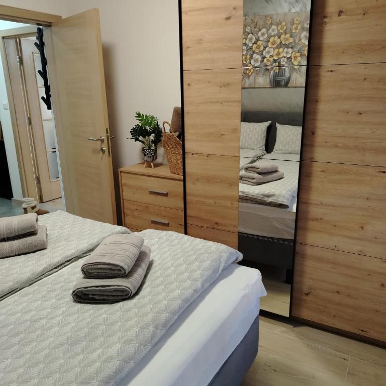 Apartman Amber Vrnjačka Banja - One-Bedroom Apartment - 21