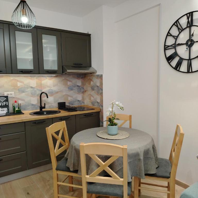 Apartman Amber Vrnjačka Banja - One-Bedroom Apartment - 18
