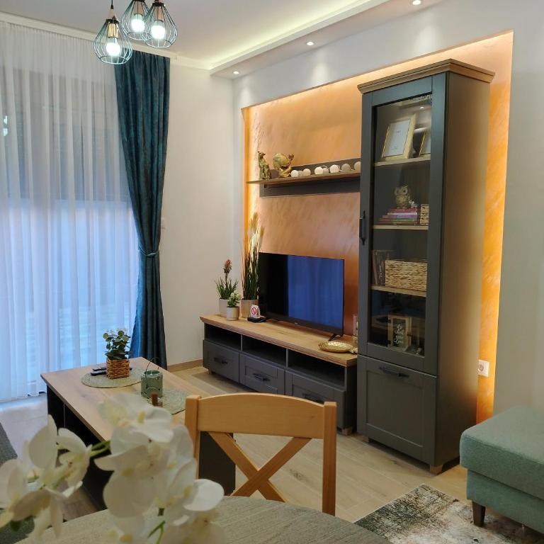 Apartman Amber Vrnjačka Banja - One-Bedroom Apartment - 1