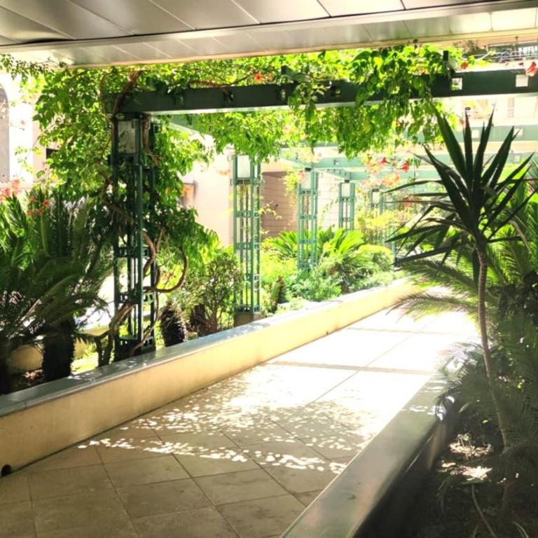 Superbe appartement carre d or - Appartement avec Terrasse - 17