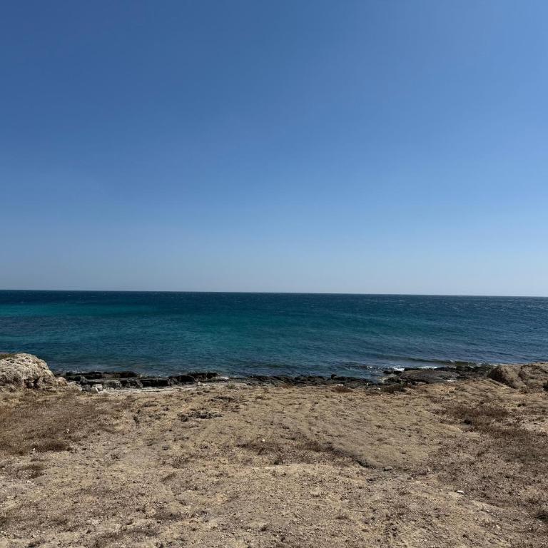Appartamento Oscar Mancaversa - Two-Bedroom Apartment - 33