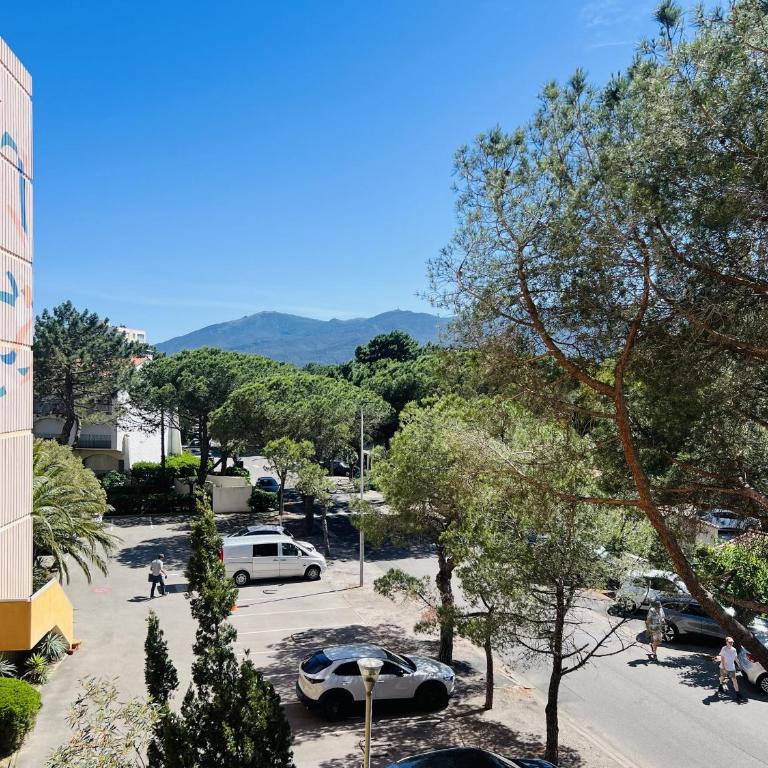 Argelès Plage - T3 spacieux avec parking à 30m de la plage - FR-1-309-242 - Appartement (6 Adultes) - 18