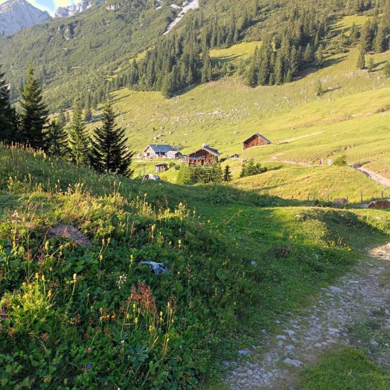 Haigis Lodge 1 - Apartment mit 2 Schlafzimmern - 31