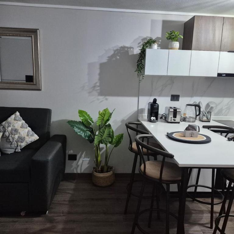 Santiago Centro - Teatro Teleton - Apartamento de 1 dormitorio - 1