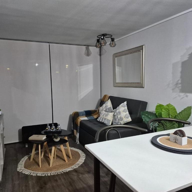 Santiago Centro - Teatro Teleton - Apartamento de 1 dormitorio - 2