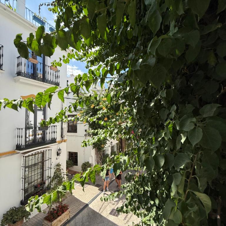 La Clé Boutique Hotel Old Town Marbella - Suite - 7