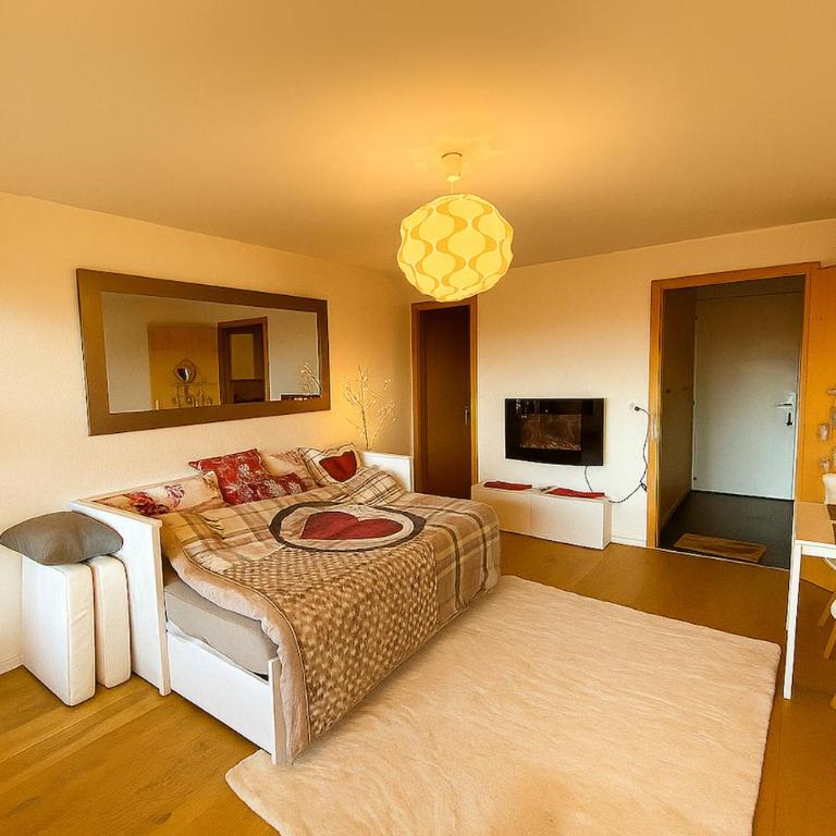Studio cosy au calme avec terrasse vue sur Alpes - Appartement 1 Chambre - 3