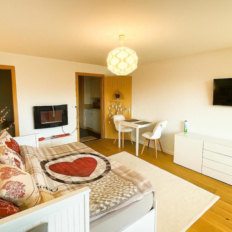 Studio cosy au calme avec terrasse vue sur Alpes - Appartement 1 Chambre - 20