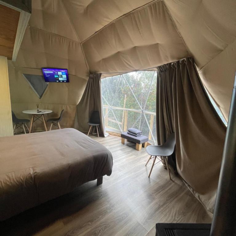Glamping III Domo 7 Tazas con Tinaja - Apartamento de 1 dormitorio - 23