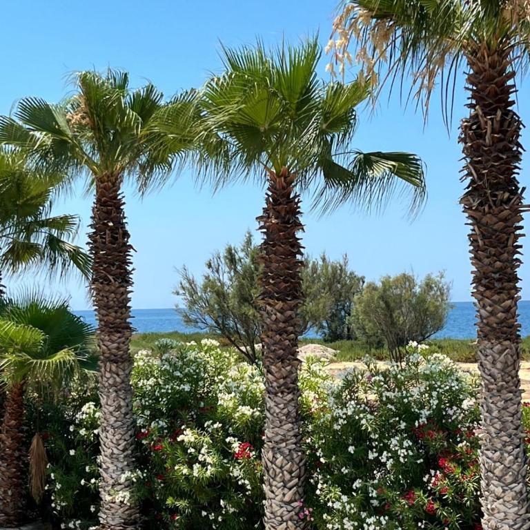 Casa al mare Nzemmula - Appartamento con 1 Camera da Letto - 2