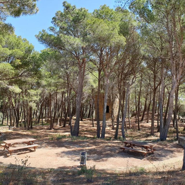 Platja de Pals, casa en zona residencial prop de Begur - Casa de 3 dormitorios - 34