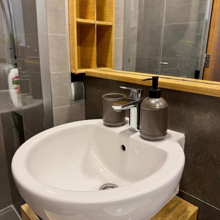 Aleks Modern Flat - Central - Apartman sa 1 Spavaćom Sobom - 13