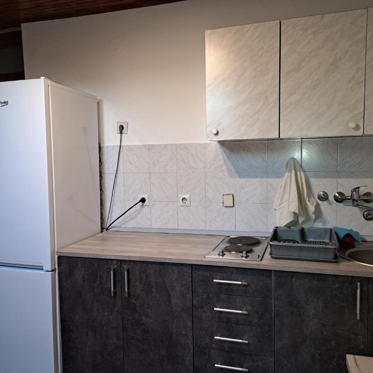 Stan na dan centar - Classic One-Bedroom Apartment with King Bed - 14