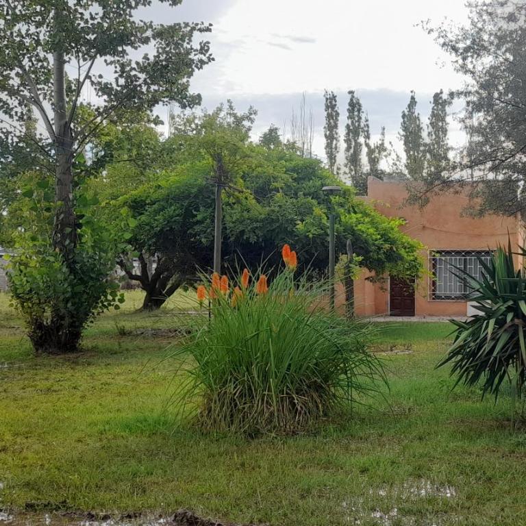 Casa de chacra - One-Bedroom House - 12