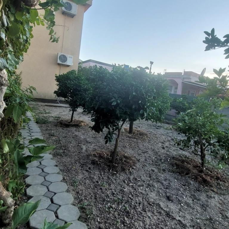 Apartmani Ksenija - Apartman Tipa "Suite" sa 1 Spavaćom Sobom - 17