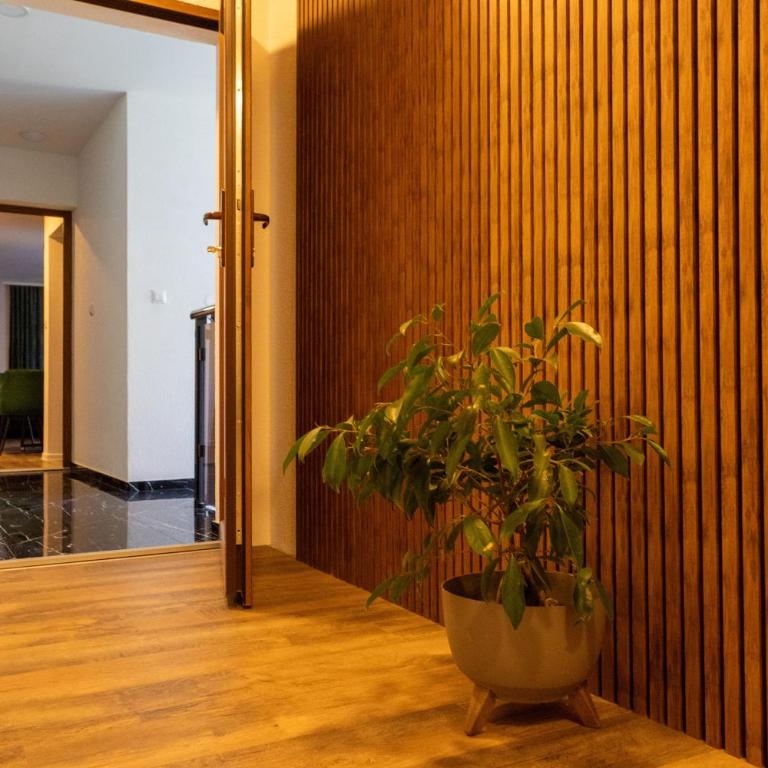 Apartments and Rooms Villa Majestic - Three-Bedroom Apartment with Water View - 8