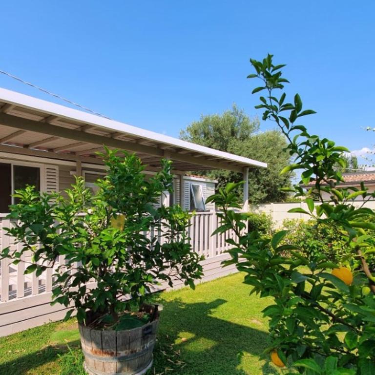 Fontana Oasis Apartment - Bungalow con Vista Giardino - 1