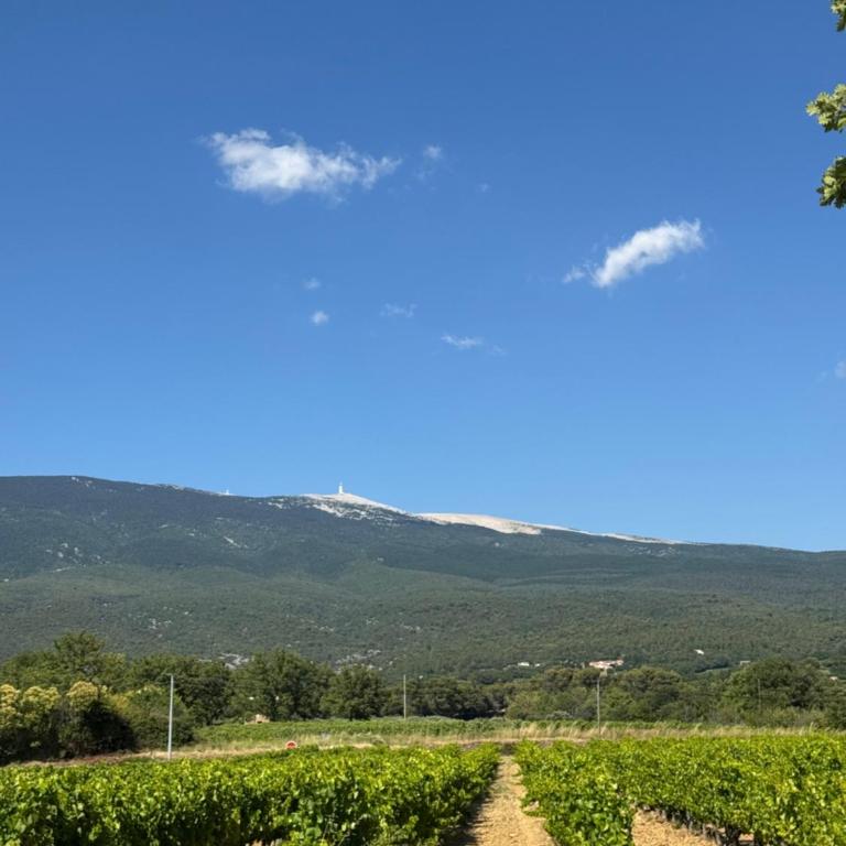 Moun Cabanoun - Maison 4 Chambres - 24
