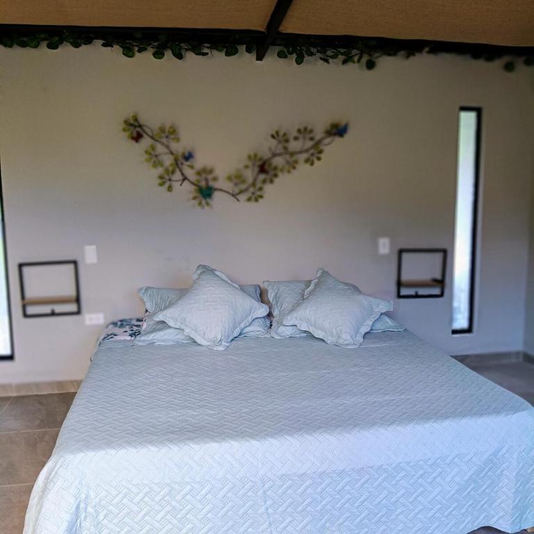 Capibara-Glamping Cabaña - One-Bedroom Apartment - 18