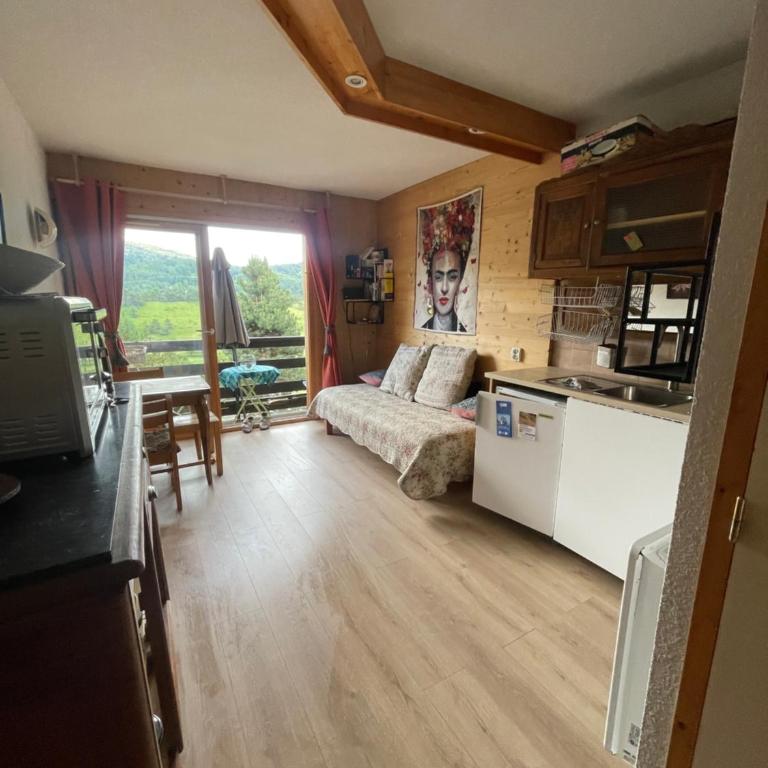 Le ZEN au pied du Grand Veymont en été en hiver - Appartement avec Balcon - 3