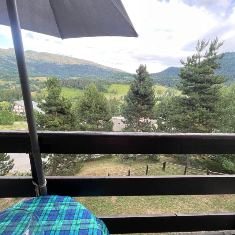 Le ZEN au pied du Grand Veymont en été en hiver - Appartement avec Balcon - 17