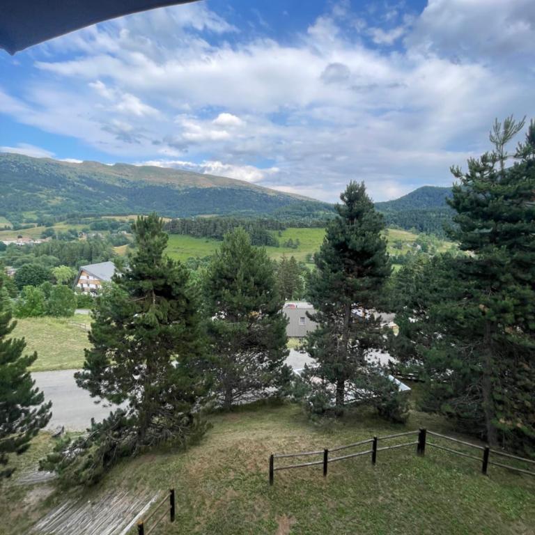 Le ZEN au pied du Grand Veymont en été en hiver - Appartement avec Balcon - 27