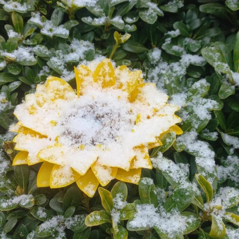 Cabañas la familia - Apartamento de 2 dormitorios - 10