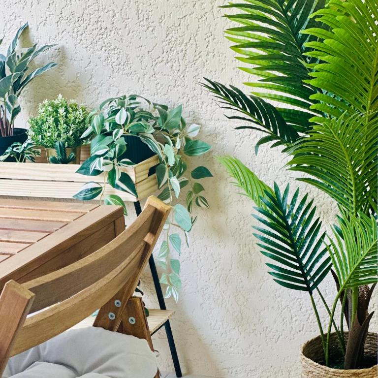 L'appartement Vert, Piscine, 750m de la Plage - Apartamento de 1 dormitorio - 12
