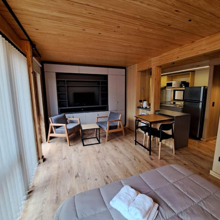 Hermoso Departamento Vivero 5 - Apartamento de 1 dormitorio - 4