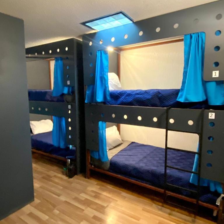 Wonder Hostal - Single Bed in 6-Bed Dormitory Room - 4