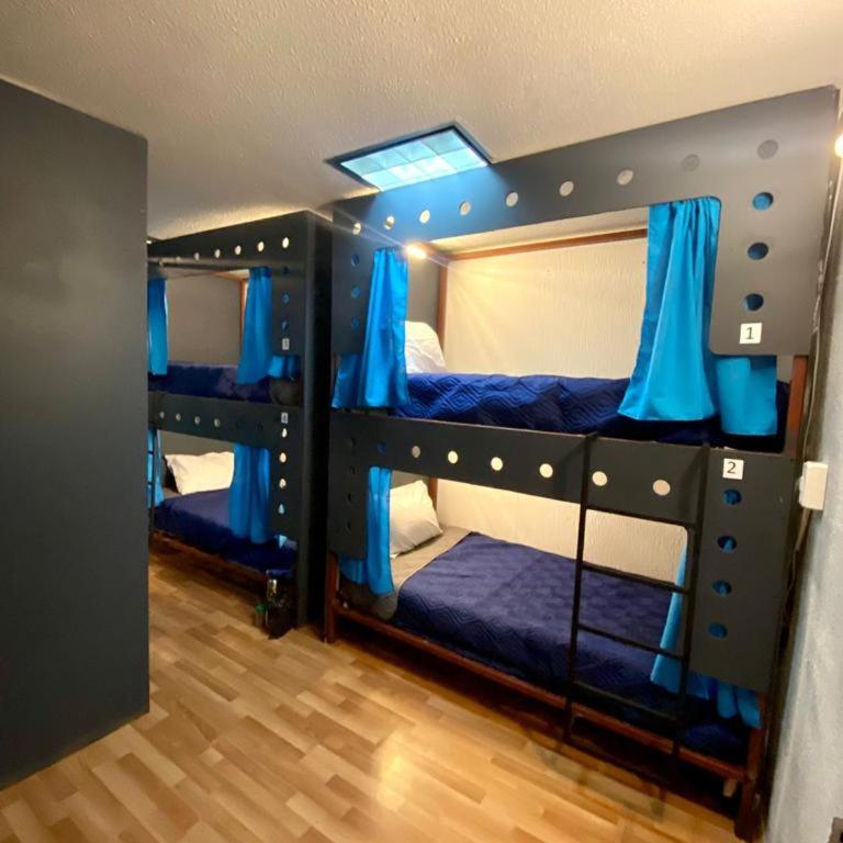 Wonder Hostal - Single Bed in 6-Bed Dormitory Room - 2