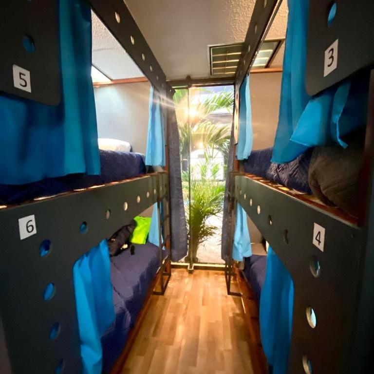 Wonder Hostal - Single Bed in 6-Bed Dormitory Room - 1