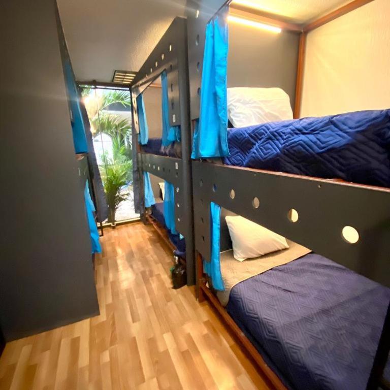 Wonder Hostal - Single Bed in 6-Bed Dormitory Room - 3