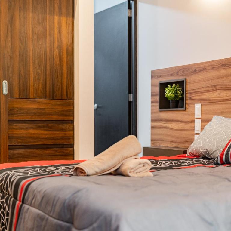 The Cozy Corner Apartment near Condesa, Roma and Chapultepec Park - Three-Bedroom Deluxe Apartment - 29