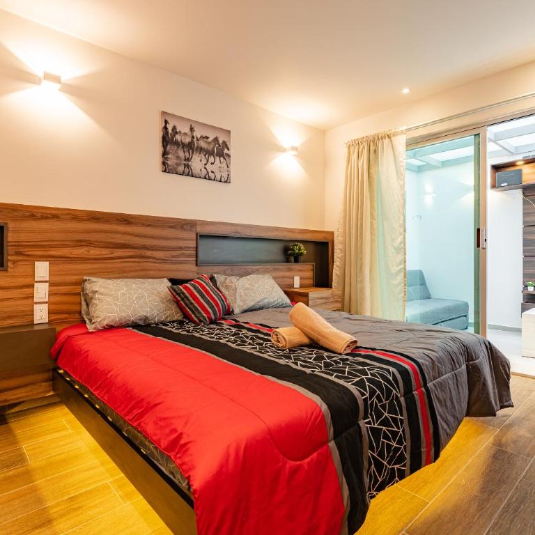 The Cozy Corner Apartment near Condesa, Roma and Chapultepec Park - Three-Bedroom Deluxe Apartment - 5