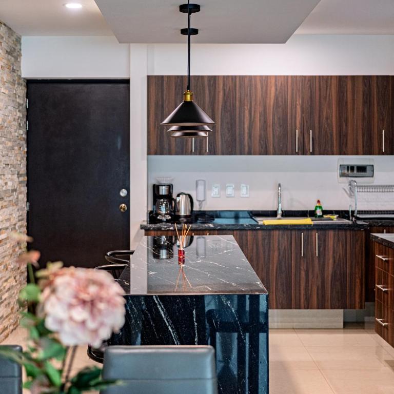 The Cozy Corner Apartment near Condesa, Roma and Chapultepec Park - Two-Bedroom Apartment - 1