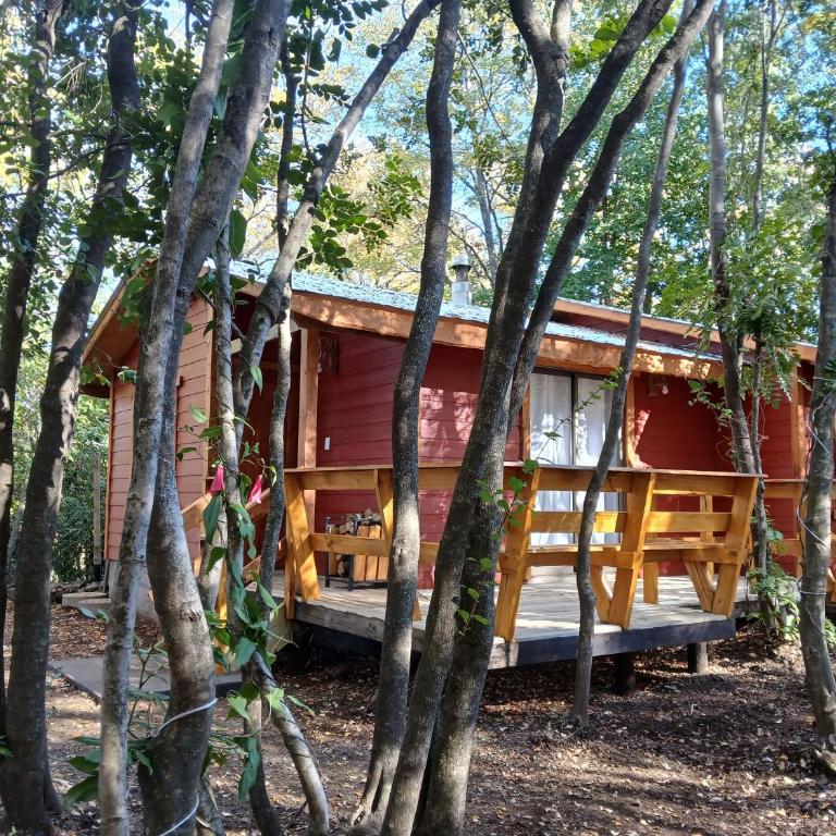 Cabañas Tía Marce, Los Lleuques - Apartamento de 2 dormitorios con terraza - 5
