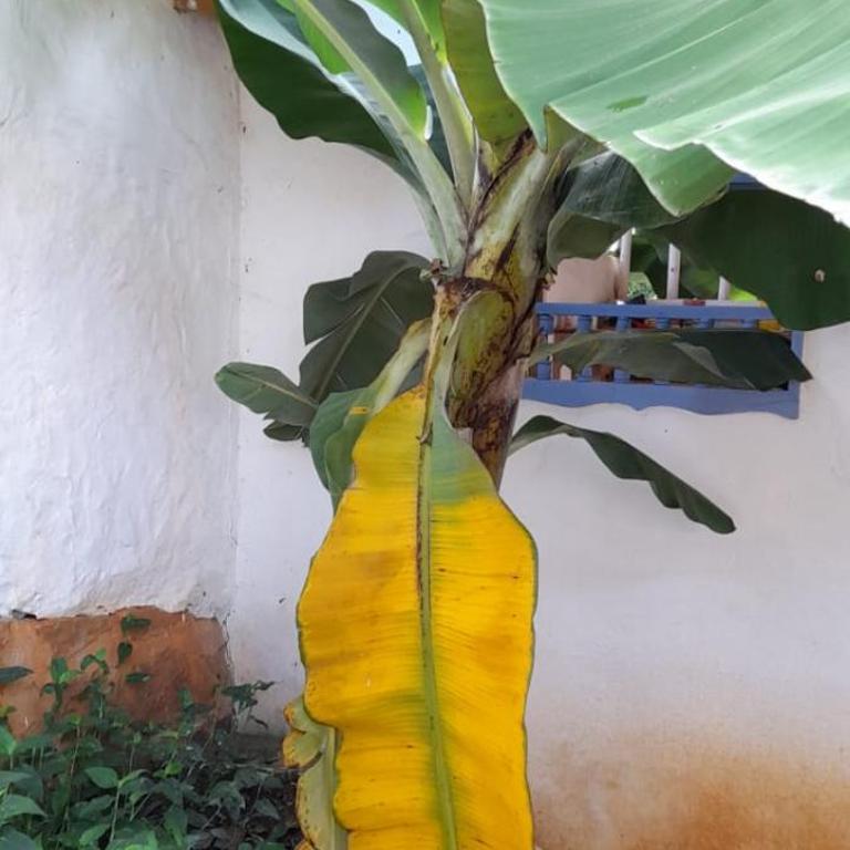 Casa Bakero - Casa de 5 dormitorios - 7