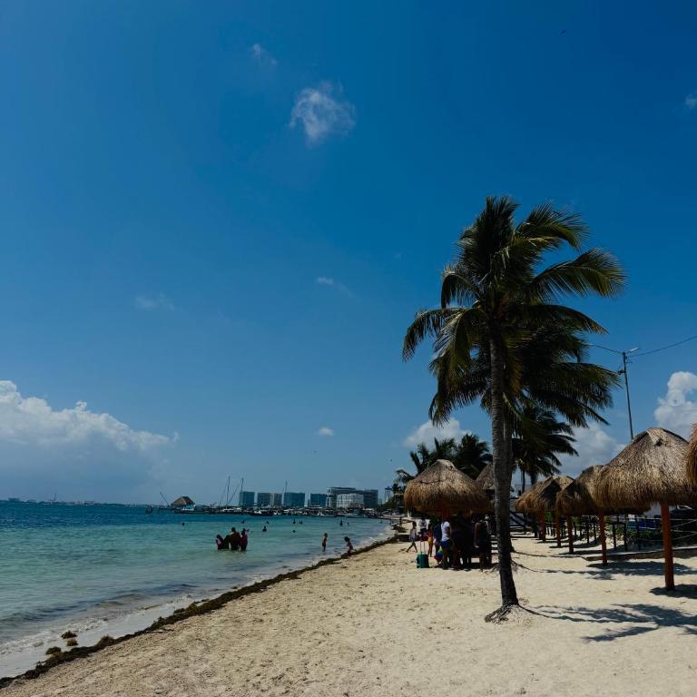 Caribbean Family Stay - Apartamento de 1 dormitorio - 8