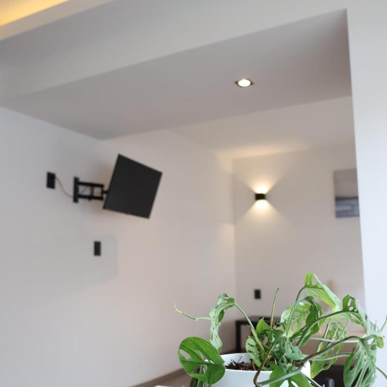 SanRafa Home Office Suites - Standard Suite - 17